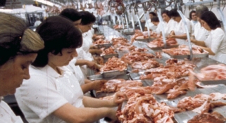 workers on a busy meat processing line