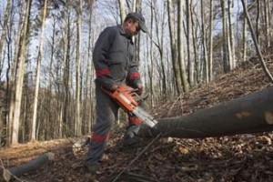 logging worker